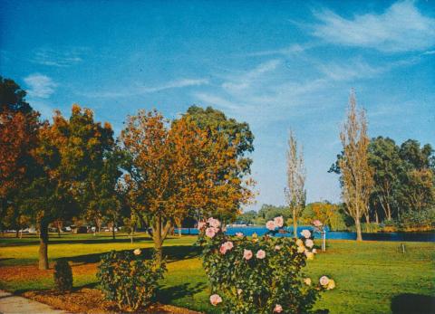 Lake Victoria, Shepparton