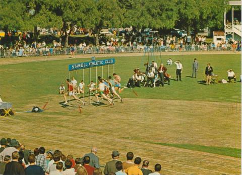 The Stawell Gift - Athletics Club Race, Stawell
