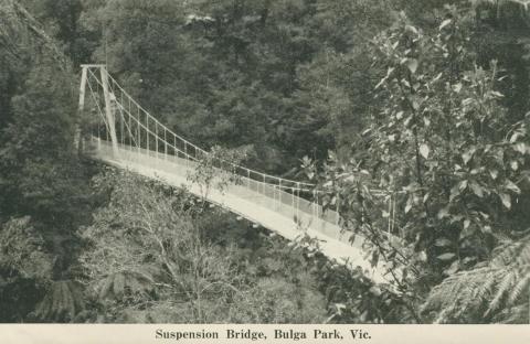 Suspension Bridge, Bulga Park, 1949