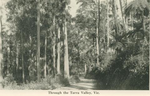 Through the Tarra Valley, 1949