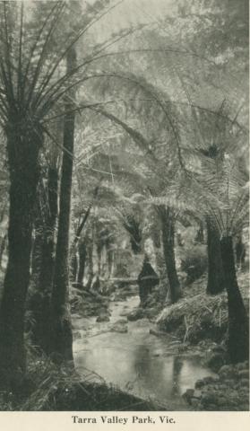 Tarra Valley Park, 1949