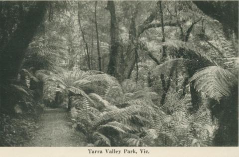 Tarra Valley Park, 1949