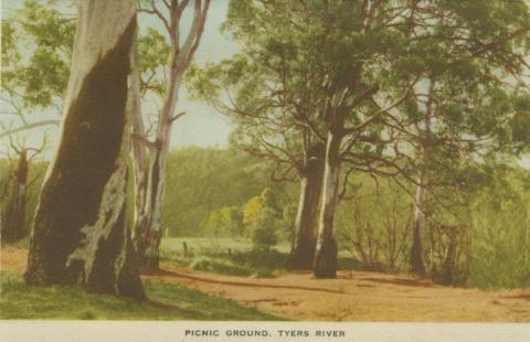 Picnic Ground, Tyers River