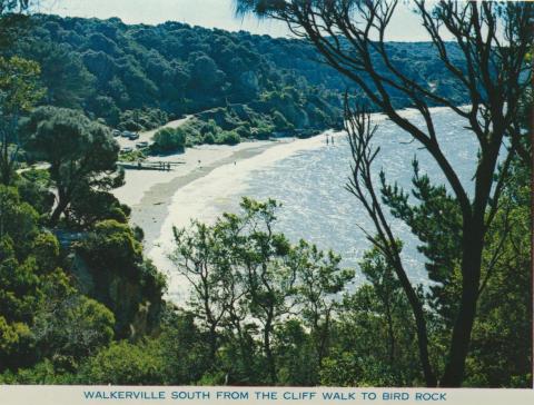 Walkerville South from the Cliff Walk to Bird Rock, 1978