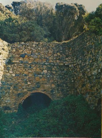 Ruins of Lime Kilns at Walkerville South, 1978