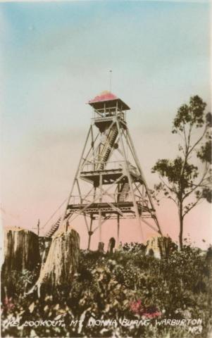 The lookout, Mt Donna Buang, Warburton