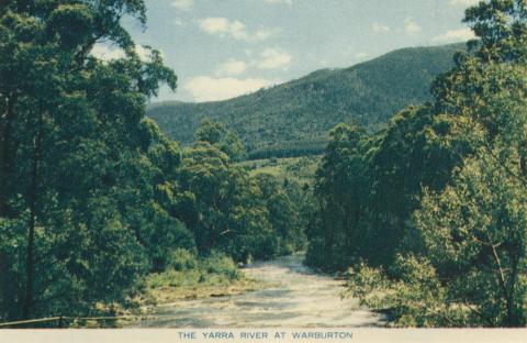 The River Yarra at Warburton