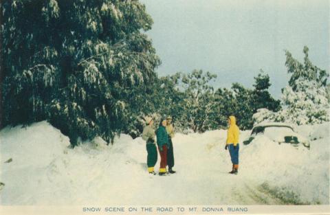 Snow scene on the road to Mt Donna Buang, Warburton