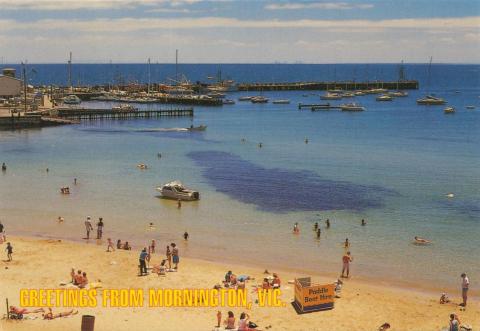 Looking to the pier, Mornington