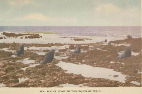 Seal Rocks, Phillip Island