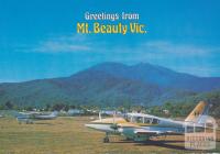 Air strip, Mount Beauty