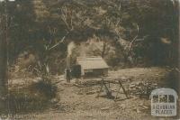 Gold digger's hut, Lerderderg River, Bacchus Marsh, c1909