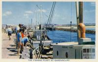 The fishing fleet at Queenscliff, 1964