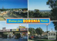 Boronia