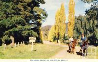 Entering Bright on the Ovens Valley