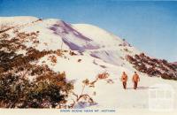 Snow scene near Mount Hotham