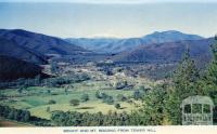 Bright and Mt Bogong from Tower Hill