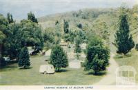 Camping reserve at Buchan Caves