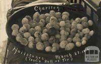 Hailstones, Charlton, 27 March 1914