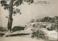 Winter mantle, National Park, Mount Buffalo, 1954