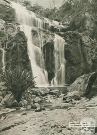 Mackenzie Falls, The Grampians, 1954