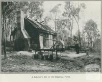 A selector's hut in the Gippsland Forest, 1918