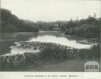 Landscape gardening, at the Botanic Gardens, Melbourne, 1918