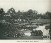 A lily pond at the Botanic Gardens, Melbourne, 1918