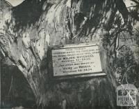 Historical Tablet at Ovens River Bridge, Ovens Valley, 1960