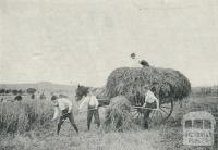 Warragul High School Farm, 1961