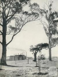 Maryvale Mill, 1958