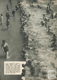 The Herald's Learn-to-Swim Campaign at Middle Brighton Baths, 1958