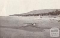 Beach at Rosebud, 1929