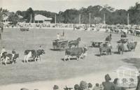 The Agricultural Society's Annual Show, Echuca, 1950