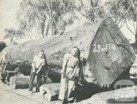 Murray Valley Sawmills, 1950