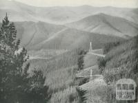 Pine Forest and S.E.C. Powerlines to Melbourne, Bright Shire, c1960