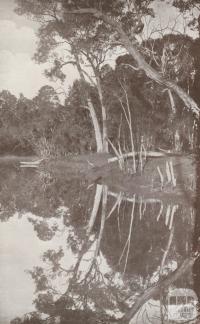 Nowa Nowa Landing, Lake Tyers, 1934