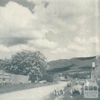 Wandiligong township, 1951