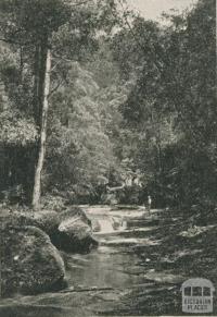 The Artists Glen, Lorne, 1910