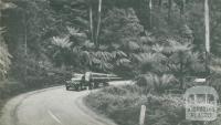 Timber Transport, Dandenongs, c1952