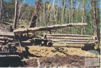 Loading logs in the forest, Licola, 1955