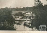 Tambo River, Mossiface, Tambo Shire, 1919