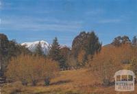 Snow-capped Mount Buller as viewed from the Mansfield Road