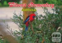Crimson Rosella, Wilson's Promontory