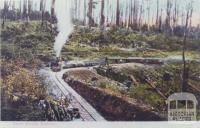 Beech Forest, Railway, 1907