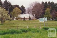 Dean Primary School, 2000