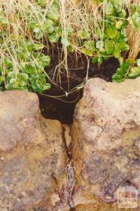 Aboriginal Well, Ricketts Point, Beaumaris, 2001