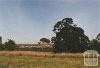View south from Viewbank, 2002