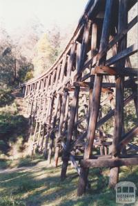 Noojee, 2002