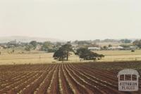 Browns Lane, Nalangil, 2009